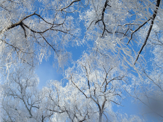 38964 (a): :1600x1200